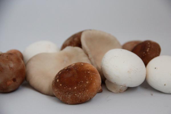 Mushroom mixture