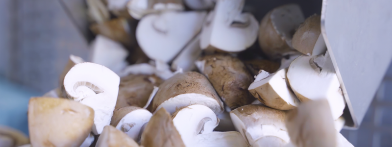Geurts Champignons Halfconserven Geurts Champignons Halfconserven