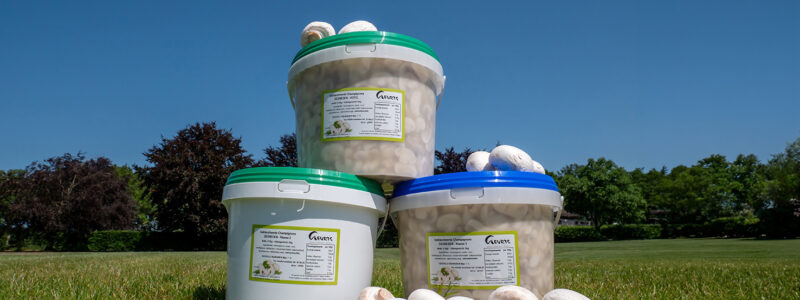 Geurts Champignons Halfconserven Geurts Champignons Halfconserven